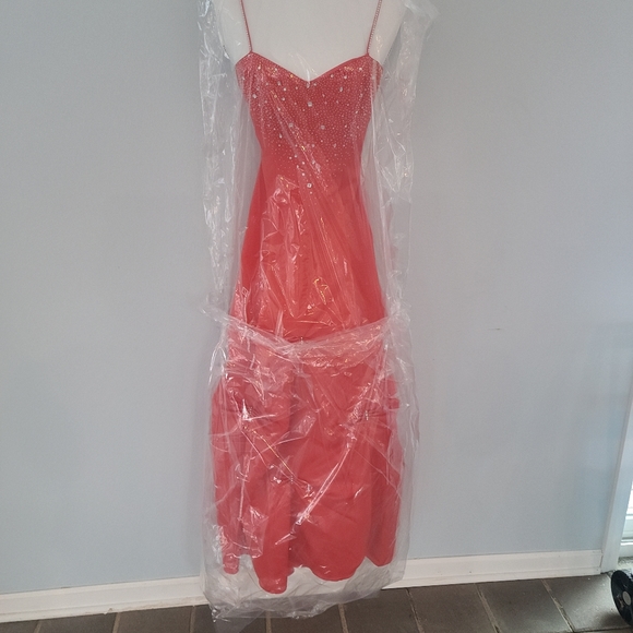 Prom dress (dry cleaned) - Picture 2 of 4